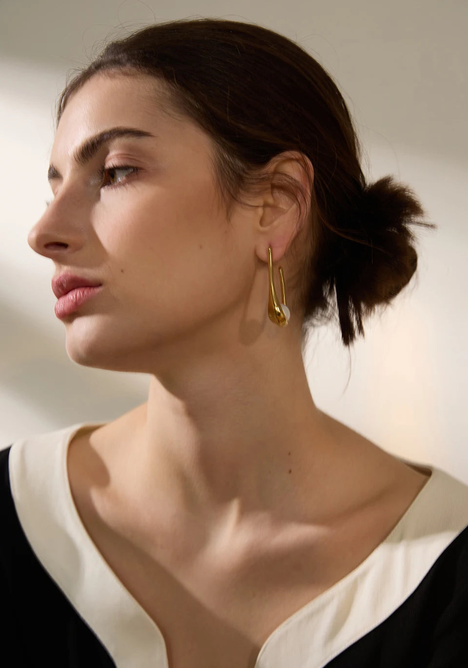 Long Loop Earrings